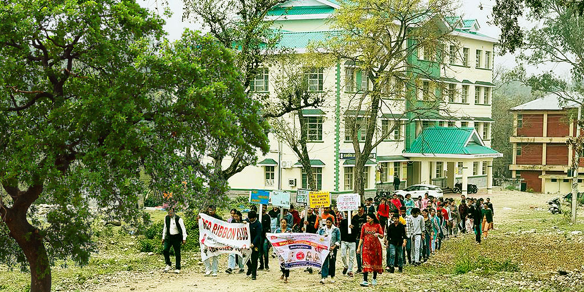 About The College